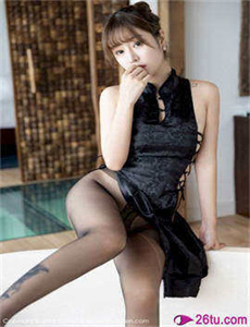 火箭猪,24小时更新视频在线观看免费