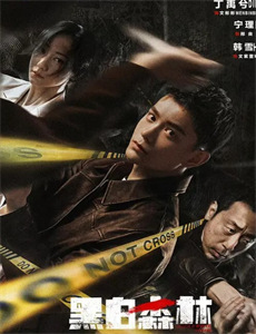 大内密探之姻缘劫