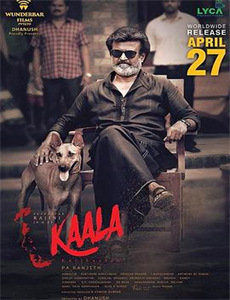 奶宝火出圈后全家求原谅