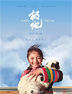 致青春之嫁给爱情